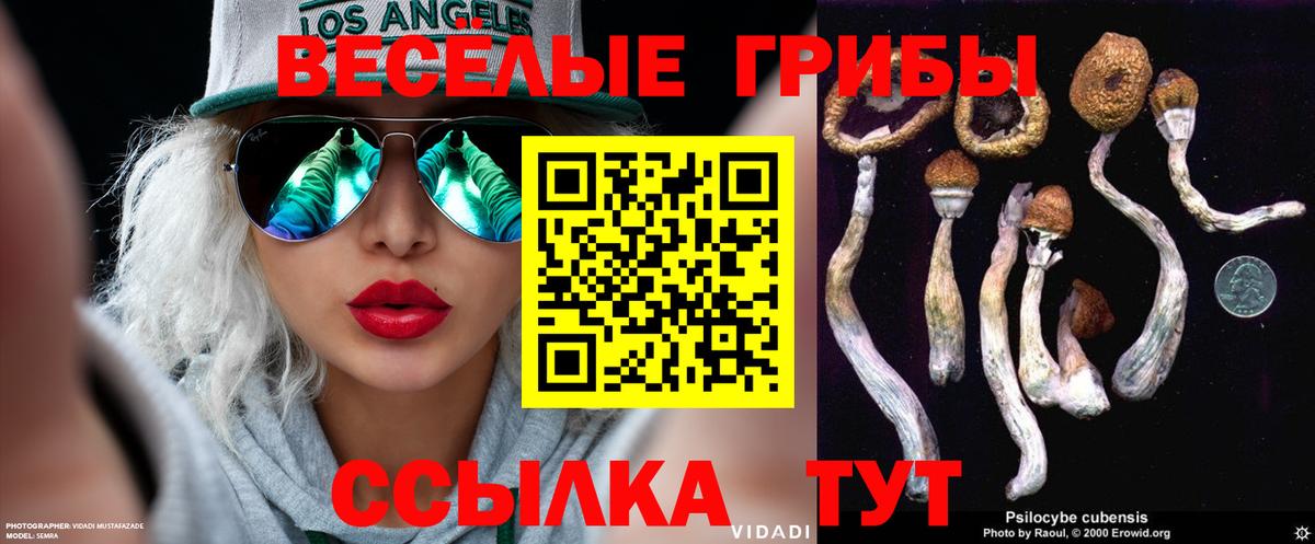 Псилоцибиновые грибы Psilocybine cubensis  Вход с VPN  Фурманов 